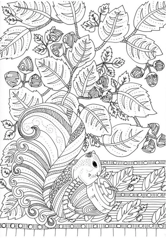 Coloring autumn squirrel Coloring autumn squirrel